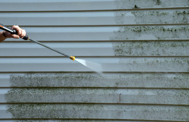 Paint Preparation in Timberlake, VA